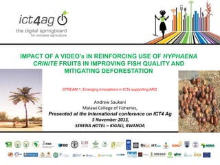 IMPACT OF A VIDEO’s IN REINFORCING USE OF HYPHAENA
CRINITE FRUITS IN IMPROVING FISH QUALITY AND
MITIGATING DEFORESTATION
STREAM 1; Emerging Innovations in ICTs supporting ARD

Andrew Saukani
Malawi College of Fisheries,
Presented at the International conference on ICT4 Ag
5 November 2013,
SERENA HOTEL – KIGALI, RWANDA

 