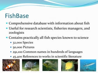 FishBase | PPTX