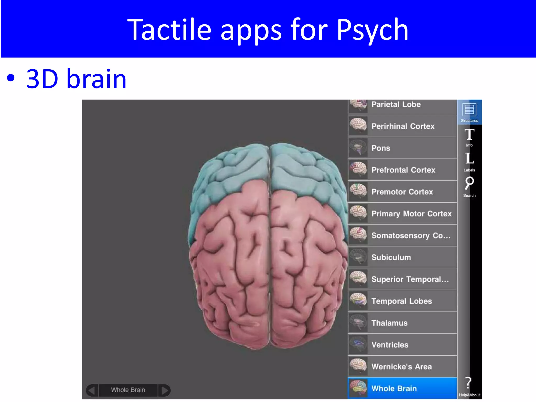 Tactile apps for Psych
• 3D brain
 