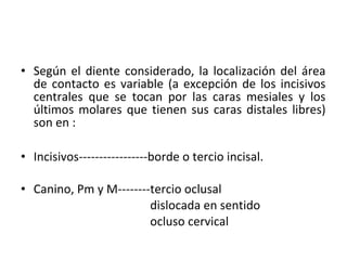 • Según el diente considerado, la localización del área
de contacto es variable (a excepción de los incisivos
centrales que se tocan por las caras mesiales y los
últimos molares que tienen sus caras distales libres)
son en :
• Incisivos-----------------borde o tercio incisal.
• Canino, Pm y M--------tercio oclusal
dislocada en sentido
ocluso cervical

 