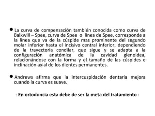 La curva de compensación también conocida como curva de
Balkwill – Spee, curva de Spee o línea de Spee, corresponde a
la línea que va de la cúspide mas prominente del segundo
molar inferior hasta el incisivo central inferior, dependiendo
de la trayectoria condilar, que sigue y se adapta a la
configuración anatómica de la cavidad glenoidea,
relacionándose con la forma y el tamaño de las cúspides e
inclinación axial de los dientes permanentes.
Andrews afirma que la intercuspidación dentaria mejora
cuando la curva es suave.
- En ortodoncia esta debe de ser la meta del tratamiento -

 