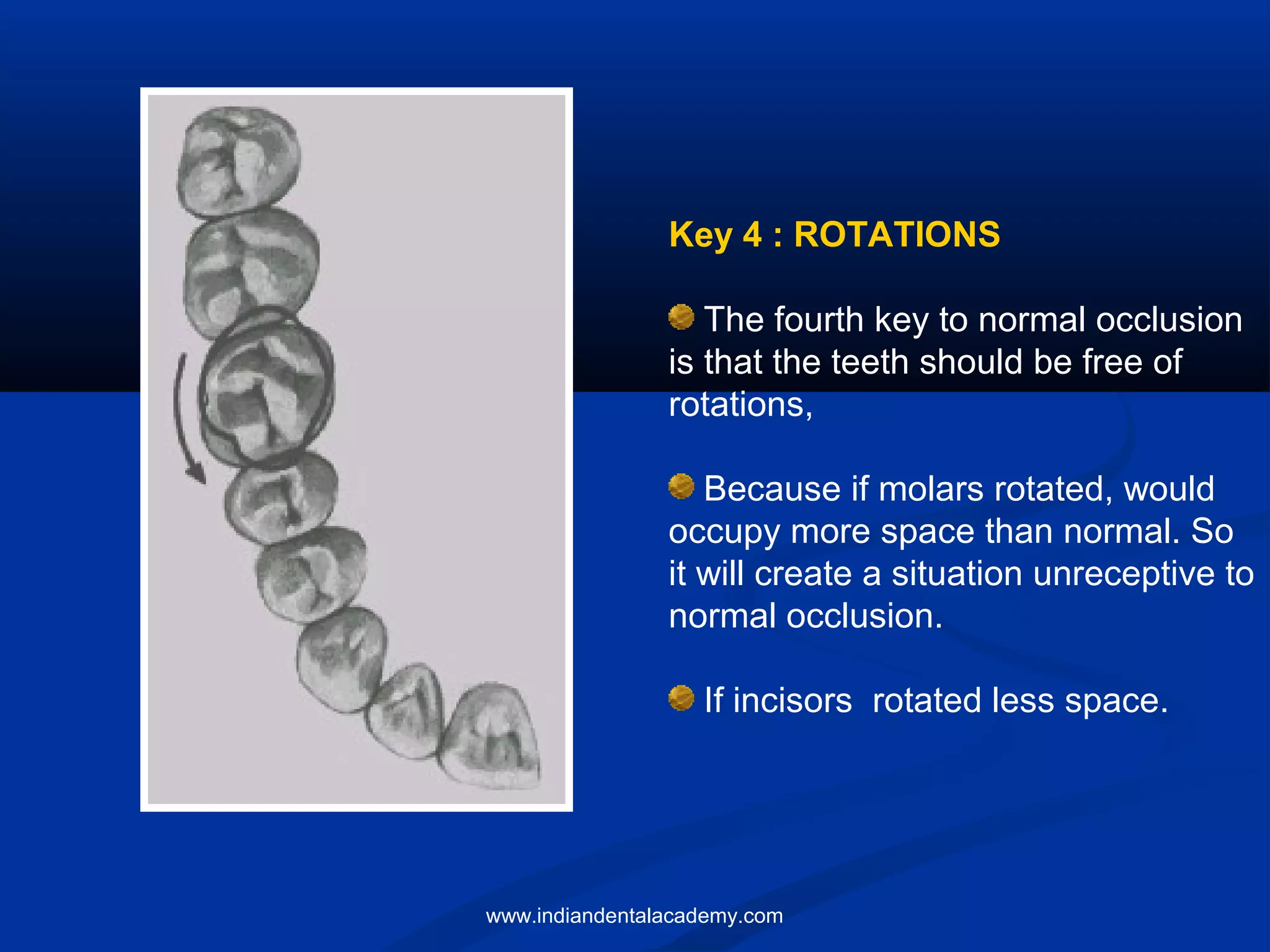 Key 4 : ROTATIONS
The fourth key to normal occlusion
is that the teeth should be free of
rotations,
Because if molars rotated, would
occupy more space than normal. So
it will create a situation unreceptive to
normal occlusion.
If incisors rotated less space.
www.indiandentalacademy.com
 