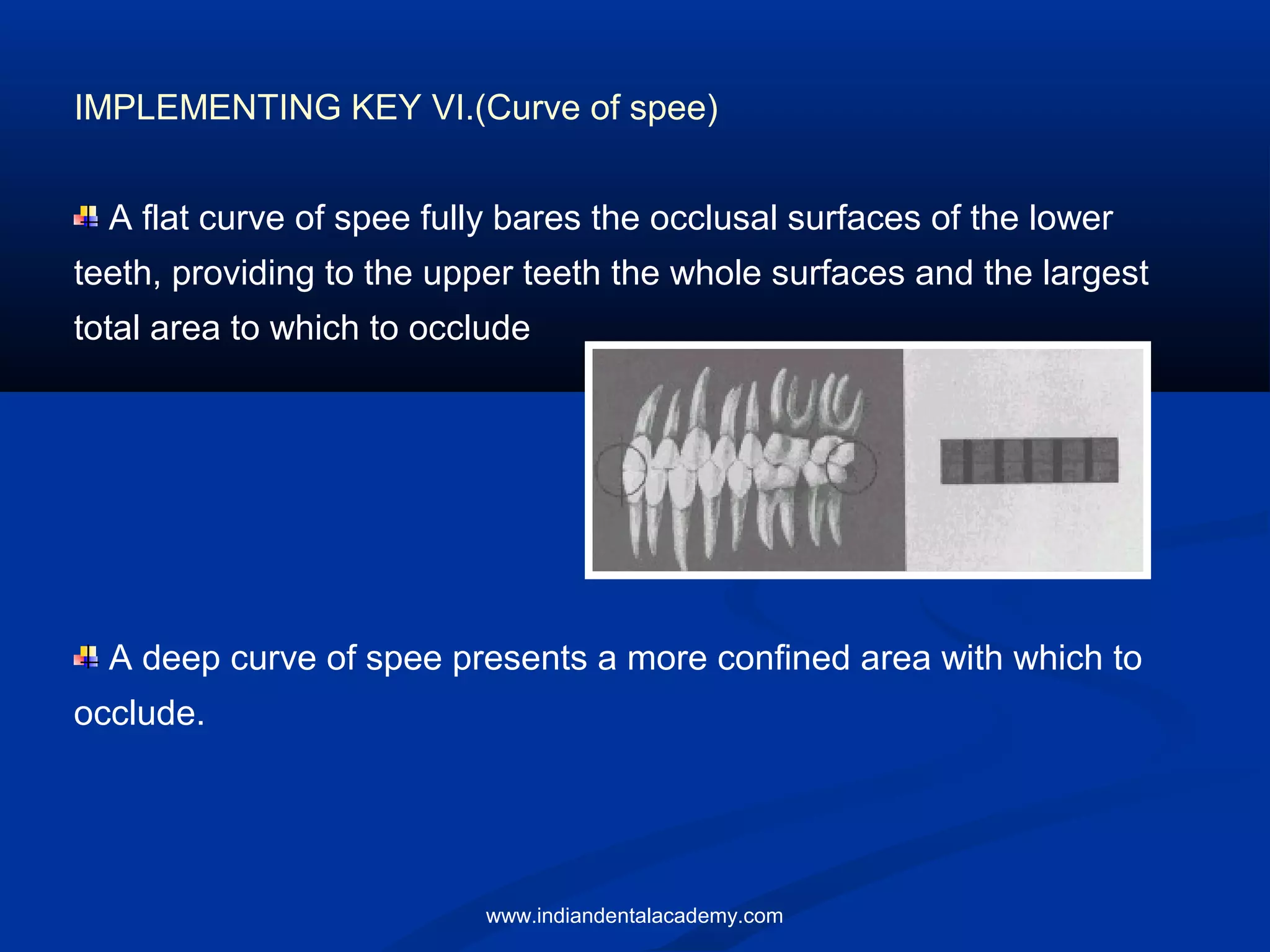 IMPLEMENTING KEY VI.(Curve of spee)
A flat curve of spee fully bares the occlusal surfaces of the lower
teeth, providing to the upper teeth the whole surfaces and the largest
total area to which to occlude
A deep curve of spee presents a more confined area with which to
occlude.
www.indiandentalacademy.com
 