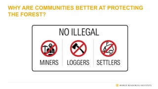 WHY ARE COMMUNITIES BETTER AT PROTECTING
THE FOREST?
 