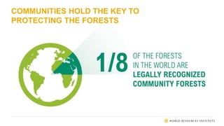 COMMUNITIES HOLD THE KEY TO
PROTECTING THE FORESTS
 