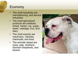 Economy
• The chief industries are
  manufacturing, and service
  industries.
• The chief agricultural
  products are potatoes,
  wheat, barley, rye, sugar,
  beets, cabbage, fruit, and
  dairy.
• The chief exports are
  machinery, vehicles,
  chemicals, and food.
• The animals raised are
  cows, pigs, chickens,
  German shepherds, and
  boxers.
 
