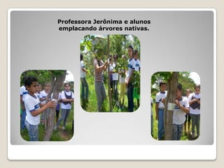 Professora Jerônima e alunos
emplacando árvores nativas.
 