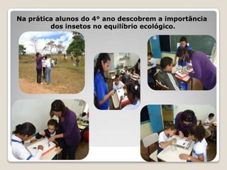 Na prática alunos do 4° ano descobrem a importância
         dos insetos no equilíbrio ecológico.
 