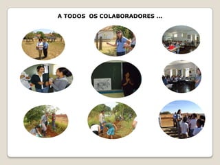 A TODOS OS COLABORADORES ...
 