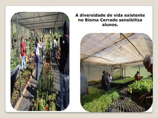 A diversidade de vida existente
 no Bioma Cerrado sensibiliza
            alunos.
 