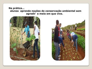 Na prática...
 alunos aprende noções de conservação ambiental sem
              agredir o meio em que vive.
 
