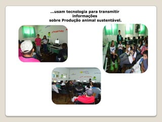 ...usam tecnologia para transmitir
            informações
sobre Produção animal sustentável.
 