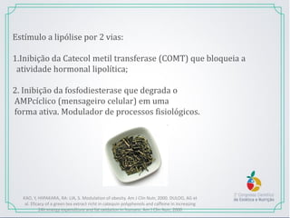 Estímulo a lipólise por 2 vias:
1.Inibição da Catecol metil transferase (COMT) que bloqueia a
atividade hormonal lipolítica;
2. Inibição da fosfodiesterase que degrada o
AMPcíclico (mensageiro celular) em uma
forma ativa. Modulador de processos fisiológicos.
KAO, Y, HIIPAKARA, RA: LIA, S. Modulation of obesity. Am J Clin Nutr, 2000. DULOO, AG et
al. Eficacy of a green tea extract richt in catequin polyphenols and caffeine in increasing
24h energy expenditure and fat oxidation in humans. Am J Clin Nutr, 2000
 