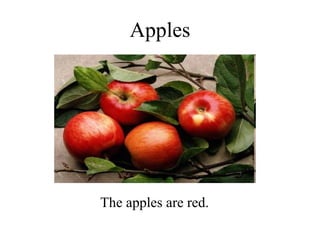 Apples The apples are red. 
