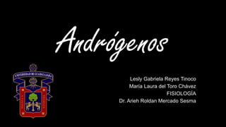 Andrógenos
Lesly Gabriela Reyes Tinoco
María Laura del Toro Chávez
FISIOLOGÍA
Dr. Arieh Roldan Mercado Sesma
 