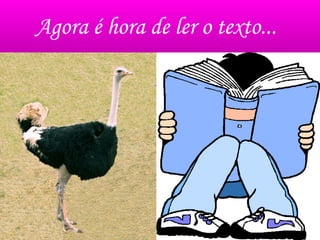 Agora é hora de ler o texto...
 