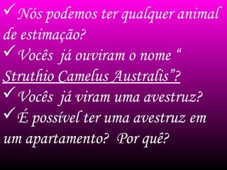 Nós podemos ter qualquer animal
de estimação?
Vocês já ouviram o nome “
Struthio Camelus Australis”?
Vocês já viram uma avestruz?
É possível ter uma avestruz em
um apartamento? Por quê?
 