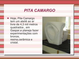 PITA CAMARGO Hoje, Pita Camargo tem um ateliê ao ar livre de 4,3 mil metros quadrados , em Gaspar,e planeja fazer experimentações com bronze, resina,cerâmica e cristal. 