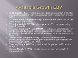  Birth Weight (BWT) - direct genetic effects on weight at birth. It is
positively correlated with weaning and postweaning body weight
EBVs.
 Maternal Birth Weight (MBWT) - genetic effects of the doe on the
birth weight of her kids.
 Weaning Weight (WWT) – direct genetic effect on preweaning
growth potential.
 Maternal Weaning Weight (MWWT) - estimates genetic merit for
mothering ability, mainly reflects genetic differences in doe milk
production though other aspects of maternal behavior may also be
involved.
 Postweaning Weight (PWWT) - combines information on
preweaning and postweaning growth to predict genetic merit for
postweaning weight at 150 days.
 Yearling Weight (YWT) – genetic merit for growth to 12 months
of age.
 Hogget Weight (HWT) - genetic effects on body weight at 18
months of age.
 