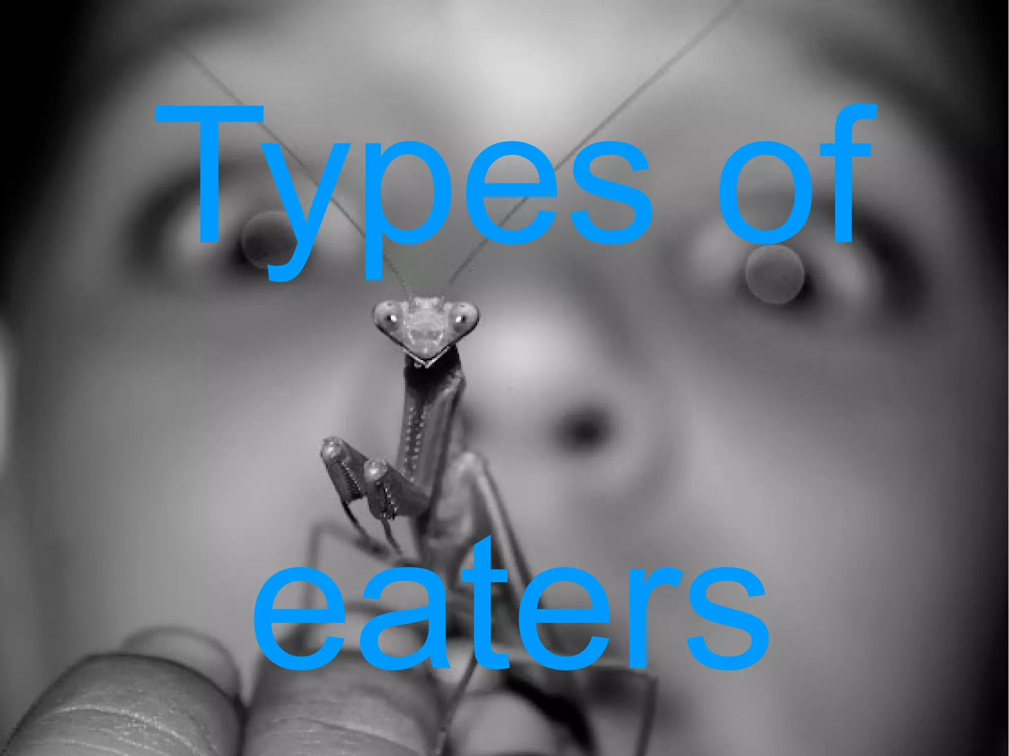 Types of

Andries p 2
              eaters
 