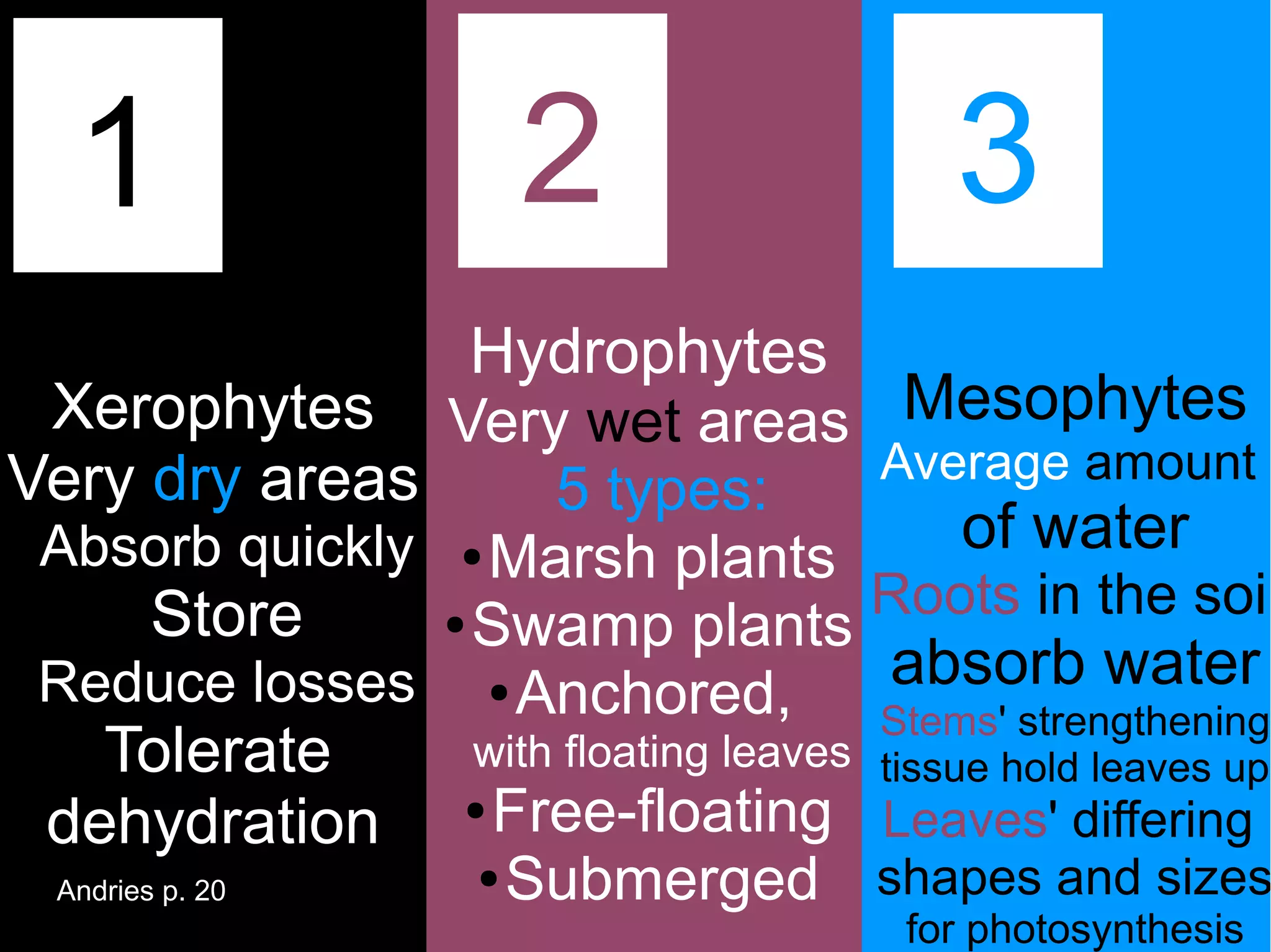 1                    2                    3
                   Hydrophytes
  Xerophytes Very wet areas Mesophytes
Very dry areas                          Average amount
                       5 types:
● Absorb quickly  ● Marsh plants
                                             of water
       ● Store   ● Swamp plants
                                        Roots in the soil
● Reduce losses     ● Anchored,
                                         absorb water
                                        Stems' strengthening
   ● Tolerate      with floating leaves tissue hold leaves up
                  ● Free-floating
  dehydration                           Leaves' differing
                   ● Submerged          shapes and sizes
  Andries p. 20
                                           for photosynthesis
 