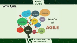 Why Agile
 