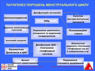 ПАТОГЕНЕЗ ПОРУШЕНЬ МЕНСТРУАЛЬНОГО ЦИКЛУ ПМЦ Порушення циклічного  утворення та виділення гонадотропінів Дисфункція ЦНС – гіпоталамо- гіпофізарної системи Супутня  екстрагенітальна  патологія Психоемоційні  стреси Фізіологічна  незрілість гіпоталамо- гіпофізарної стр-ри  в пубертатному п-ді  Порушення  статевого дозрівання Великі фізичні навантаження ПЕРЕОХОЛОДЖЕННЯ   ЗАПАЛЬНІ ЗАХВОРЮВАННЯ  ГЕНІТАЛІЙ Патологічна  ДомІнанта в ЦНС ДисфункцІя яєчникІв БОЛЬОВИЙ СИНДРОМ 
