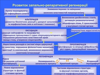 Розвиток запально-репаративної регенерації АЛЬТЕРАЦІЯ (розвиток біохімічних реакцій у джерелі запалення  та морфологічних змін в клітинах і тканинах) ЕКСУДАЦІЯ (реакція нейтрофілів та макрофагів) - підвищення проникливості судин мікроциркуляторного русла - порушення реологічних властивостей крові - явища стазу, утворення мікротромбів Виникнення дисбіотичних станів,  активація умовнопатогенної мікрофлори піхви, її транслокація у внутрішні статеві органи Імунологічна недостатність РЕГЕНЕРАЦІЯ  Повна  Неповноцінна (за рахунок клітинної  Незавершеність  Вторинний проліферації)  запального процесу  Хронічний процес  імунодефіцит Часткове відновлення структури  та функції статевих органів,  незворотні морфофункціональні зміни Повне відновлення  структури та функції  статевих органів Пряма пошкоджуюча  дія інфекційного агента   Наростання розладів в системі мікро циркуляції  та гемостазу, порушення фізіологічних механізмів  адаптації та компенсації, виникнення виражених  симптомів інтоксикації Зниження імунних та неімунних  захисних властивостей макроорганізму   ПРОЛІФЕРАЦІЯ (проліферація та міграція фібробластів,  ріст судин, грануляційної тканини) 
