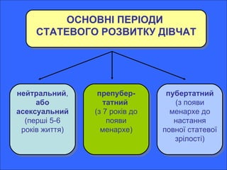 ОСНОВНІ ПЕРІОДИ  СТАТЕВОГО РОЗВИТКУ ДІВЧАТ нейтральний ,  або   асексуальний  (перші 5-6 років життя) препубер-татний   (з 7 років до появи менархе) пубертатний  (з появи менархе до настання повної статевої зрілості) 