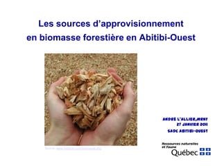 Les sources d’approvisionnement en biomasse forestière en Abitibi-Ouest André L’Allier,MRNF 27 janvier 2011  SADC Abitibi-Ouest Source:www.bolidum.com/biomasse.php 