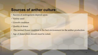 Sources of anther culture:
• Success of androgenesis depend upon:
Variety used
Growth condition
Quality of donor
• The normal flower condition is the best environment for the anther production.
• Age of donor plant should must be noted.
10
 