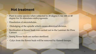 Hot treatment
• Plant in some species when subjected to 30 degree C for 24h or 40
degree for 1h stimulates embryogenesis.
• Dissolution of microtubules.
• Dislodging of the spindle which causes abnormal division.
• Sterilization of flower buds was carried out in the Laminar Air Flow
Cabinet.
• Young flower buds are surface sterilized.
• Calyx from the flower buds will be removed by flamed forceps.
15
 