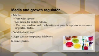 Media and growth regulator
• Media:
 Vary with species
 MS media for anther culture.
 The basal medium and combinations of growth regulators are also an
important factor.
• Solidified with Agar
• Agar contain compounds inhibitory
to some species.
16
 