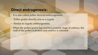Direct androgenesis:
• It is also called pollen derived embryogenesis.
• Pollen grains directly acts as a zygote.
• Similar to zygotic embryogenesis.
• When the pollen grains has reached globular stage of embryo, the
wall of the pollen is broken and embryo is released.
20
 