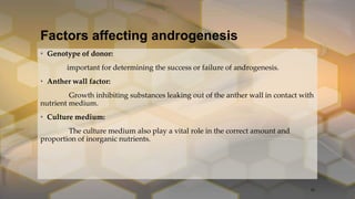 Factors affecting androgenesis
• Genotype of donor:
important for determining the success or failure of androgenesis.
• Anther wall factor:
Growth inhibiting substances leaking out of the anther wall in contact with
nutrient medium.
• Culture medium:
The culture medium also play a vital role in the correct amount and
proportion of inorganic nutrients.
32
 