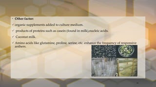 • Other factor:
organic supplements added to culture medium.
 products of proteins such as casein (found in milk),nucleic acids.
 Coconut milk.
Amino acids like glutamine, proline, serine, etc. enhance the frequency of responsive
anthers.
34
 