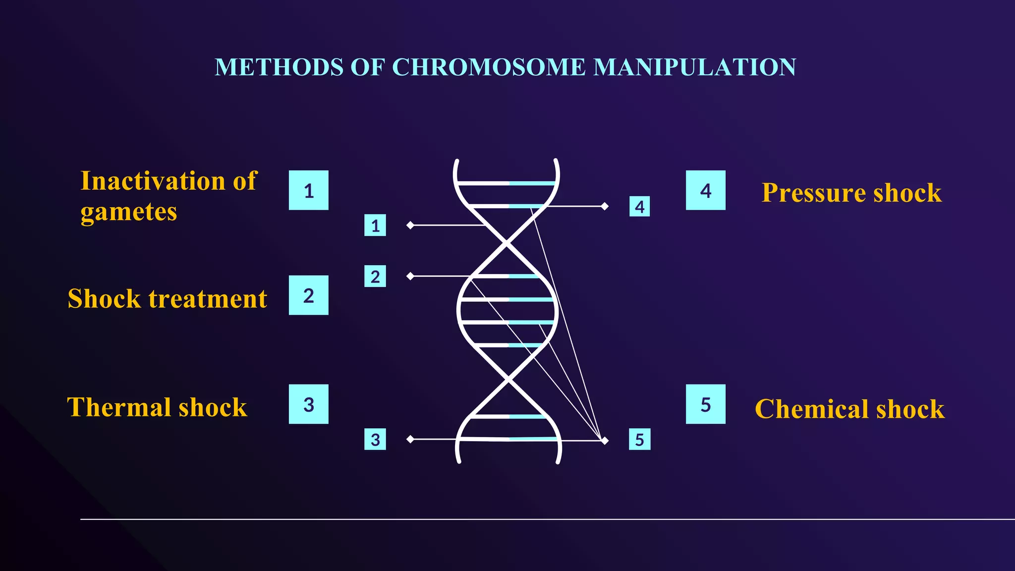 Androgenesis, Gynogenesis- Induction.pptx