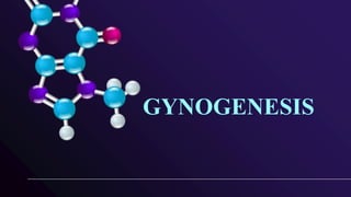 GYNOGENESIS
 