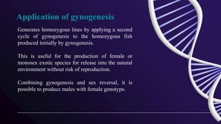 Application of gynogenesis
Generates homozygous lines by applying a second
cycle of gynogenesis to the homozygous fish
produced initially by gynogenesis.
This is useful for the production of female or
monosex exotic species for release into the natural
environment without risk of reproduction.
Combining gynogenesis and sex reversal, it is
possible to produce males with female genotype.
 