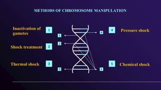 Inactivation of
gametes
Thermal shock
Pressure shock
Shock treatment
Chemical shock
1
2
3
4
5
1
2
3
4
5
METHODS OF CHROMOSOME MANIPULATION
 