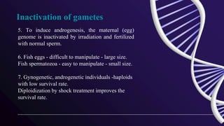 Inactivation of gametes
5. To induce androgenesis, the maternal (egg)
genome is inactivated by irradiation and fertilized
with normal sperm.
6. Fish eggs - difficult to manipulate - large size.
Fish spermatozoa - easy to manipulate - small size.
7. Gynogenetic, androgenetic individuals -haploids
with low survival rate.
Diploidization by shock treatment improves the
survival rate.
 