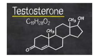 ANDROGENS.pptx