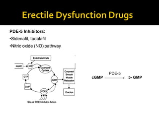 PDE-5 Inhibitors:
•Sidenafil, tadalafil
•Nitric oxide (NO) pathway
cGMP 5- GMP
PDE-5
 