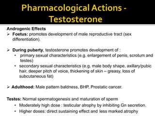 Androgenic Effects
 Foetus: promotes development of male reproductive tract (sex
differentiation).
 During puberty, testosterone promotes development of :
• primary sexual characteristics (e.g. enlargement of penis, scrotum and
testes)
• secondary sexual characteristics (e.g. male body shape, axillary/pubic
hair, deeper pitch of voice, thickening of skin – greasy, loss of
subcutaneous fat)
 Adulthood: Male pattern baldness, BHP, Prostatic cancer.
Testes: Normal spermatogenesis and maturation of sperm
• Moderately high dose : testicular atrophy by inhibiting Gn secretion.
• Higher doses: direct sustaining effect and less marked atrophy
 