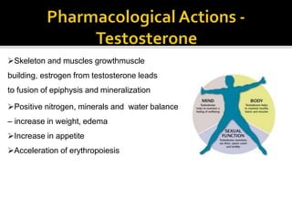 Skeleton and muscles growthmuscle
building, estrogen from testosterone leads
to fusion of epiphysis and mineralization
Positive nitrogen, minerals and water balance
– increase in weight, edema
Increase in appetite
Acceleration of erythropoiesis
 
