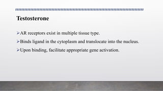 Testosterone
AR receptors exist in multiple tissue type.
Binds ligand in the cytoplasm and translocate into the nucleus.
Upon binding, facilitate appropriate gene activation.
 