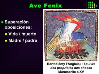 Ave Fenix Superación oposiciones: Vida / muerte Madre / padre Barthélémy l'Anglais) :  Le livre des propriétés des choses   Manuscrito s.XV 