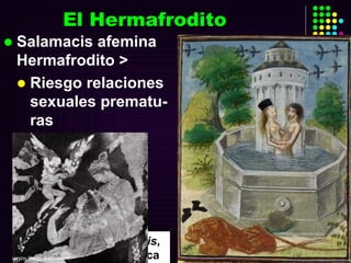 El Hermafrodito Salamacis afemina Hermafrodito > Riesgo relaciones sexuales prematu-ras  Edición  Metamorfosis , s.XV , Flandes, Bélgica   