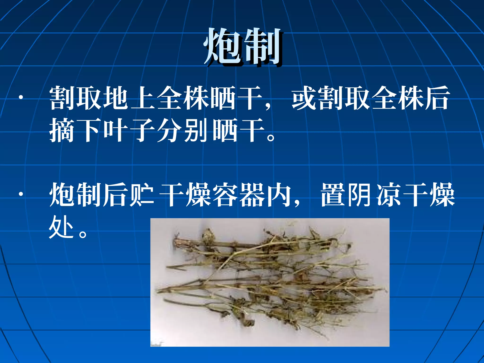 炮制
• 割取地上全株晒干，或割取全株后 
摘下叶子分别晒干。 
• 炮制后贮干燥容器内，置阴凉干燥 
处。 
 