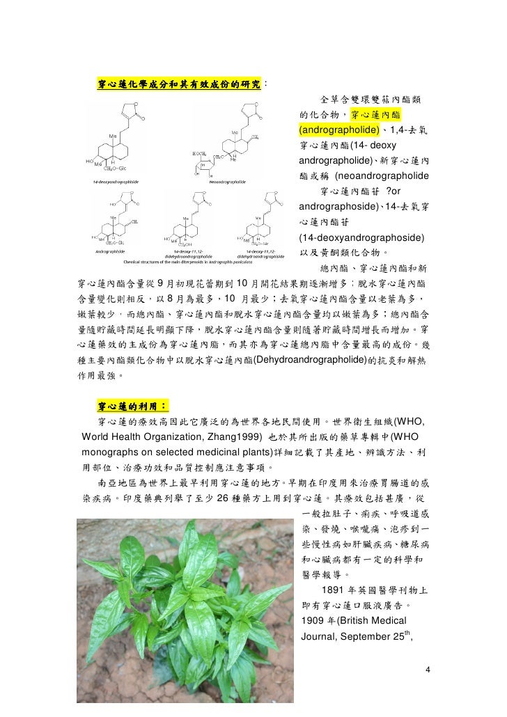穿心蓮andrographis Paniculata